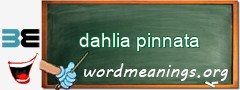 WordMeaning blackboard for dahlia pinnata